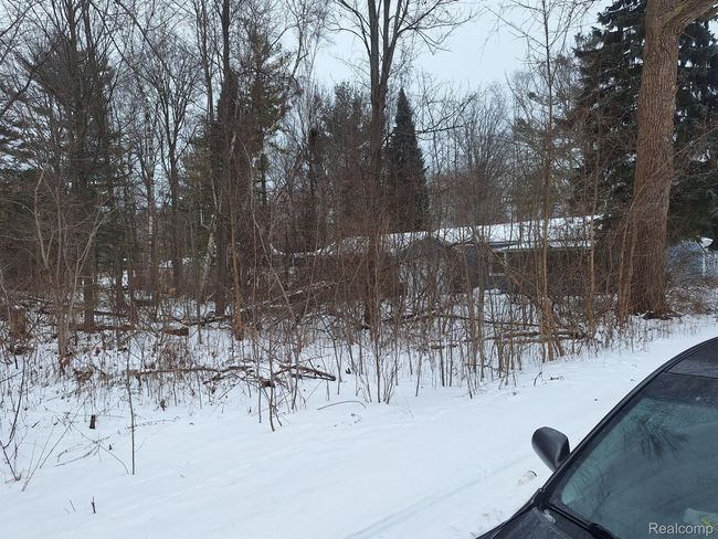 000 Birchwood Rd, Home with 0 bedrooms, 0 bathrooms and null parking in Lexington MI | Image 5