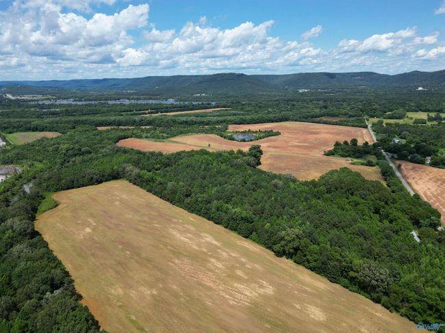 14 Acres Beaver Creek Rd, Home with 0 bedrooms, 0 bathrooms and null parking in Laceys Spring AL | Image 7