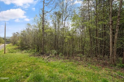 1433 Timber Trail, Newport, TN, 37821 | Card Image