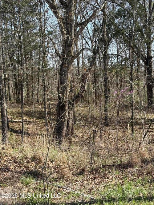 0 Nolan Rd, Olive Branch, MS, 38654 | Card Image
