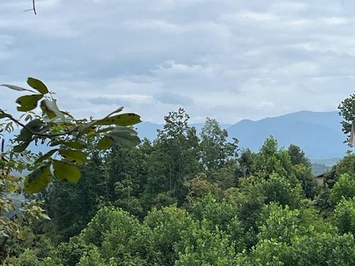 Lot 12 Forest View Dr, Hiawassee, GA, 30546 | Card Image
