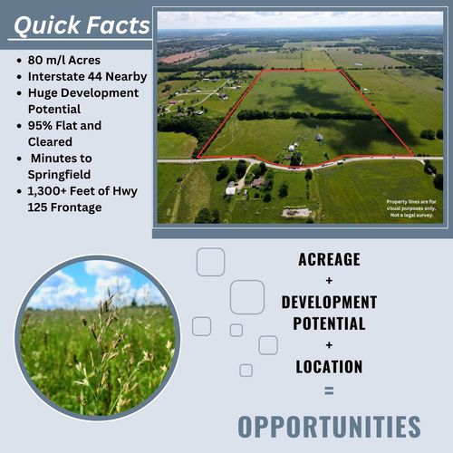 3246 N State Highway 125, Strafford, MO, 65757-7411 | Card Image