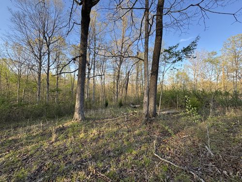 0 Ridgewood Dr, Mc Ewen, TN, 37101 | Card Image