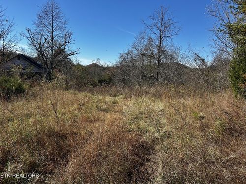 0 Shaddon Road Lot 1, Tellico Plains, TN, 37385 | Card Image