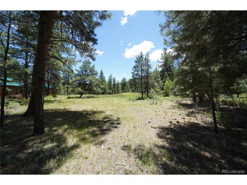 136 Elk Meadow Run, Antonito, CO, 81120-9086 | Card Image