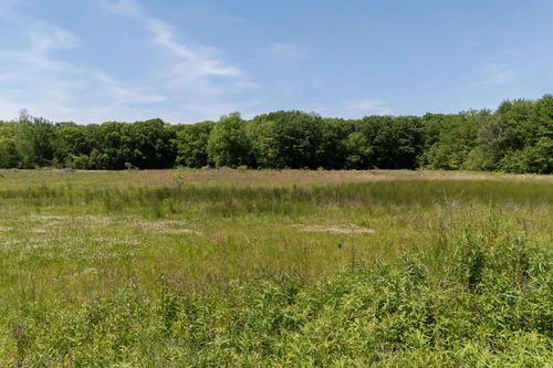 V/L #1 Lakeside Road, New Buffalo, MI, 49117 | Card Image