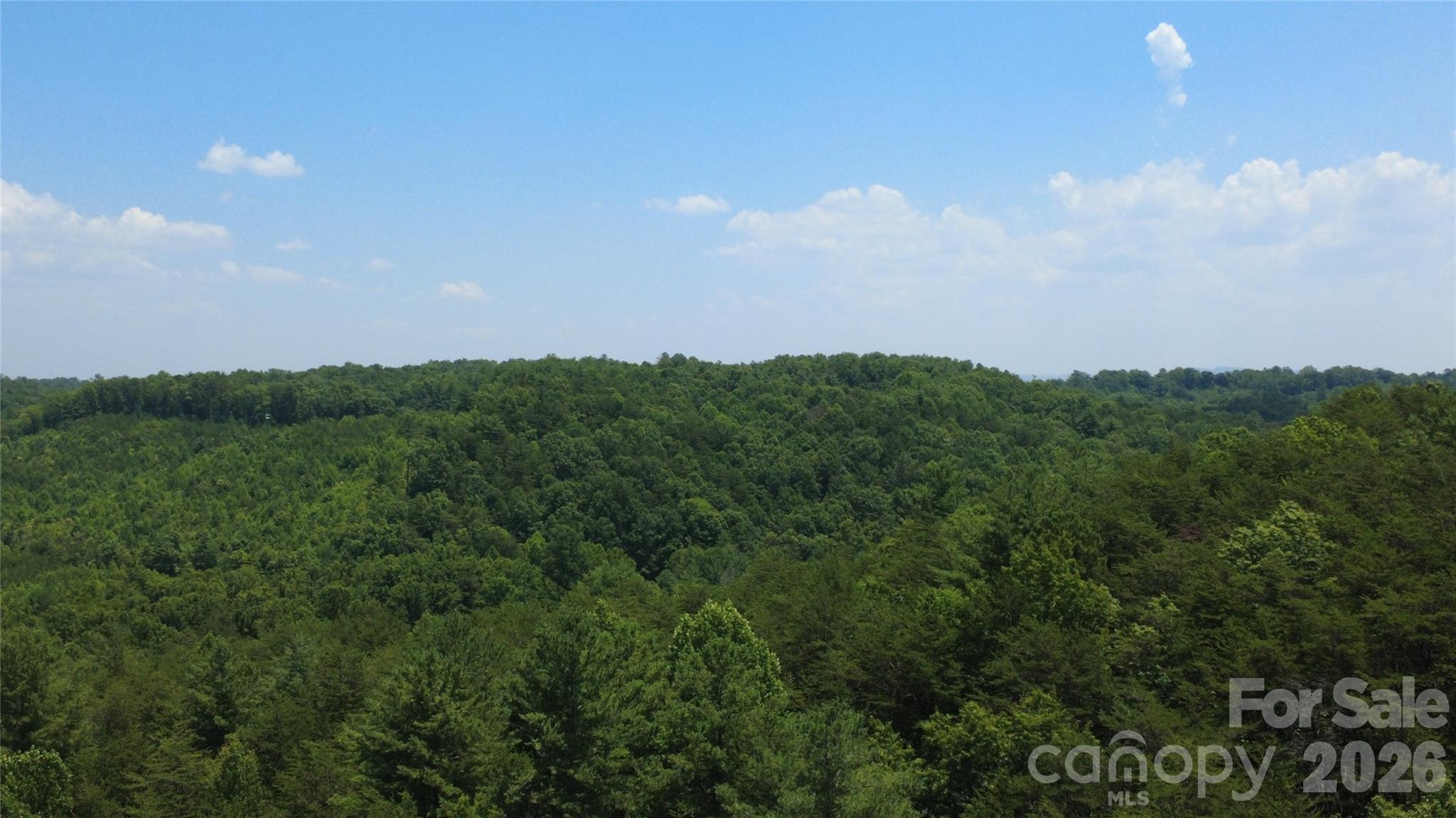 Land in Morganton
