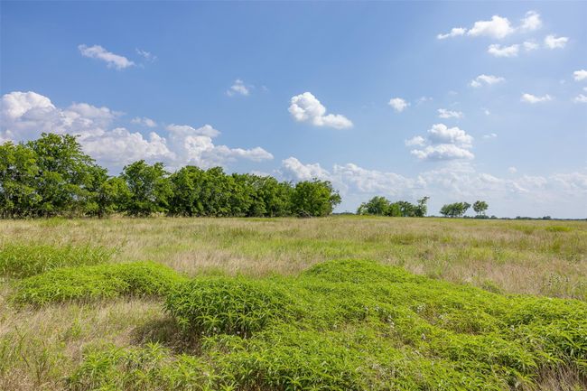 317 Memory Ln, Home with 0 bedrooms, 0 bathrooms and null parking in Burton TX | Image 20