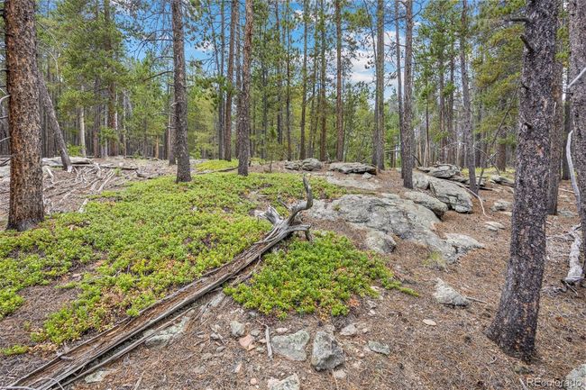 8570 S Warhawk Rd, Home with 0 bedrooms, 0 bathrooms and null parking in Conifer CO | Image 7