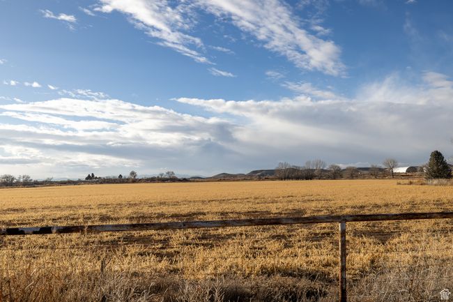 View of yard with a rural view | Image 5