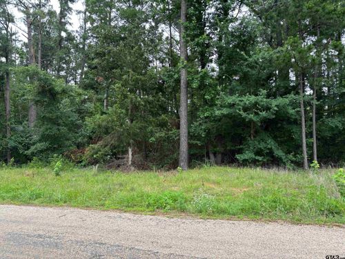 TBD County Road 2121, Pittsburg, TX, 75686 | Card Image
