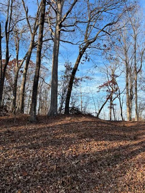 201 Oconee Ave, Westminster, SC, 29693-6433 | Card Image