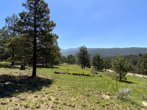 1270 Torry Pines Ln, Angel Fire, NM, 87710 | Card Image