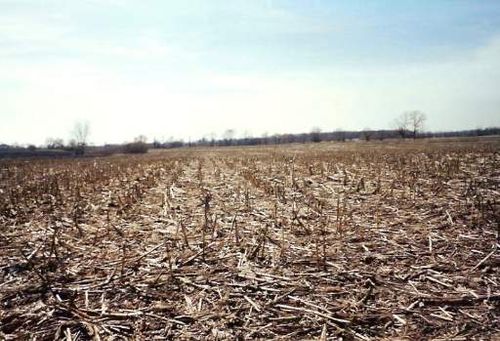 31W255 Roosevelt Rd, West Chicago, IL, 60185-2648 | Card Image