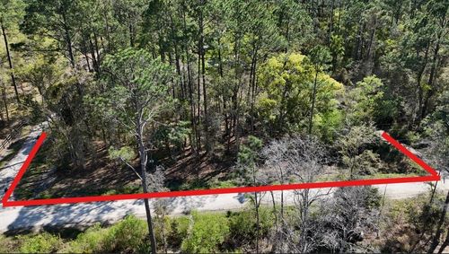 TBD Ne 137th Pl, CITRA, FL, 32113 | Card Image