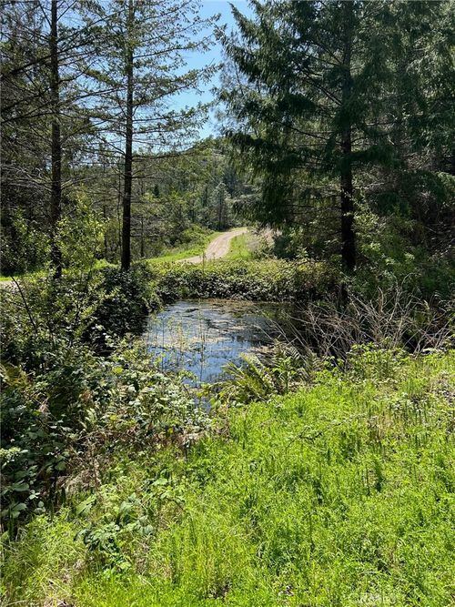 14607 Western Mine Rd, Middletown, CA, 95461 | Card Image