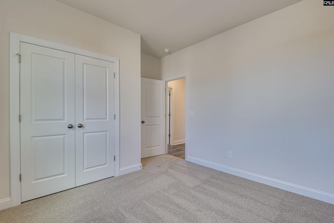 363 Chapin Place Way, House other with 4 bedrooms, 3 bathrooms and null parking in Chapin SC | Image 20