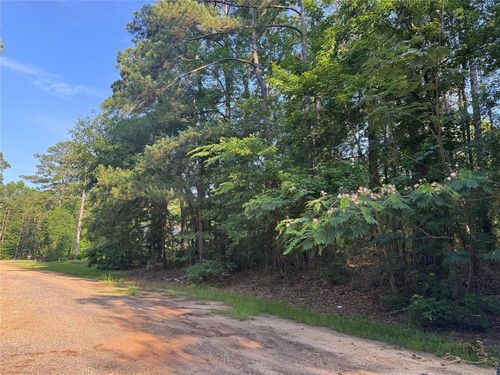 TBD Hidden Cir, Coldspring, TX, 77331 | Card Image