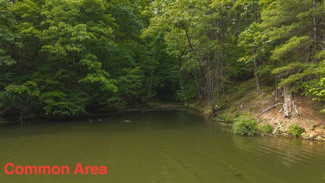 4042 Cabin Land Dr, Home with 3 bedrooms, 3 bathrooms and null parking in Radford VA | Image 40