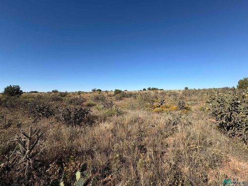 10 Quail, Lake Sumner, NM, 88119 | Card Image