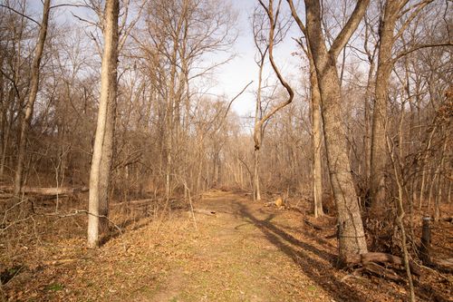 tract-3s-000 Condor Drive, Seneca, MO, 64865 | Card Image