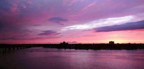 apt-806-6265 Sun Blvd, ST PETERSBURG, FL, 33715-1052 | Card Image