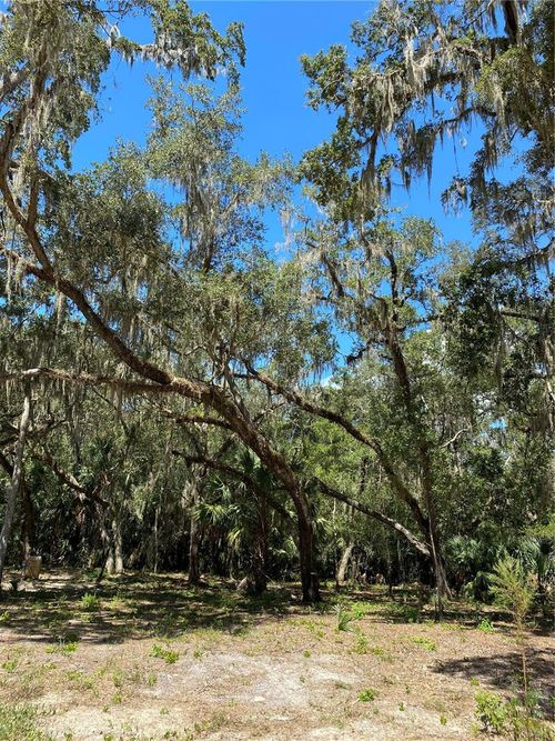 12641 W Amur Maple Pl, Crystal River, FL, 34428-7420 | Card Image