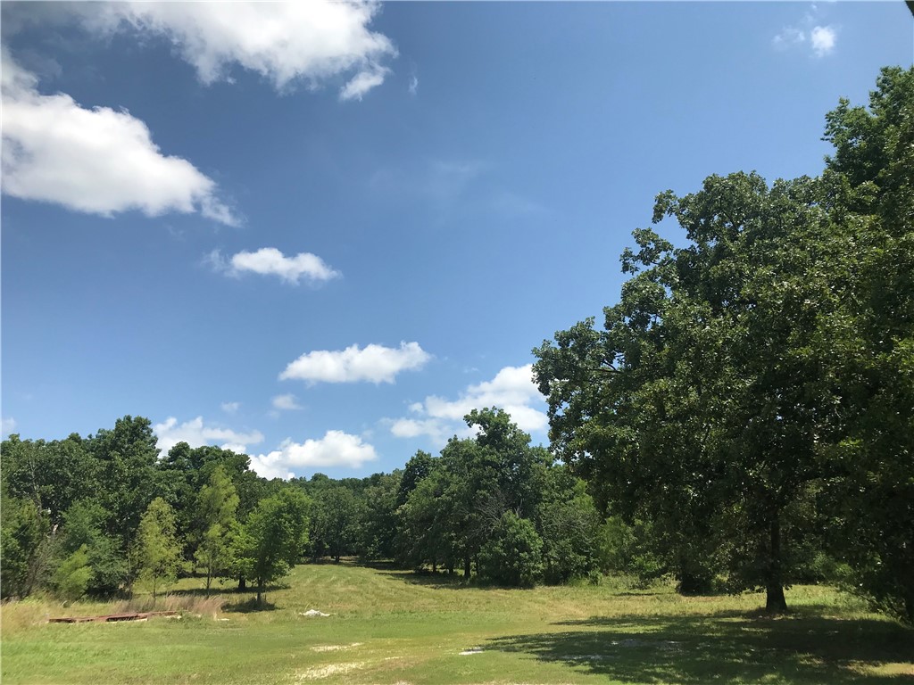 Skelton St, Fayetteville, AR 72701