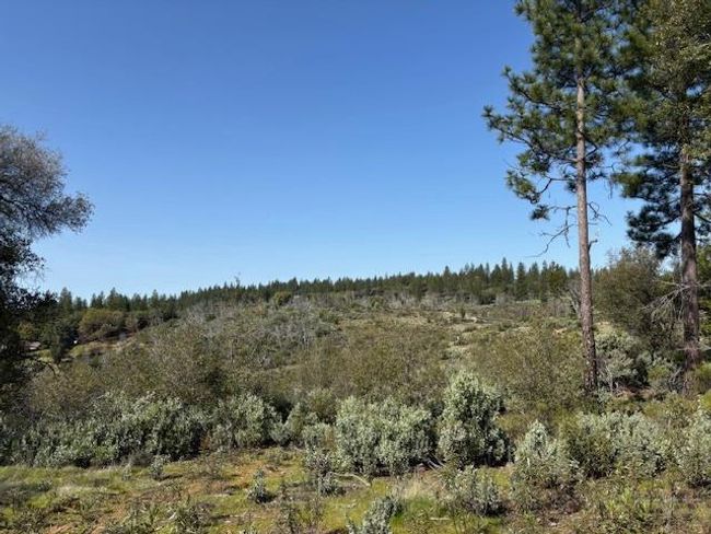 19292 Shawnee Trl, Home with 0 bedrooms, 0 bathrooms and null parking in Mokelumne Hill CA | Image 51