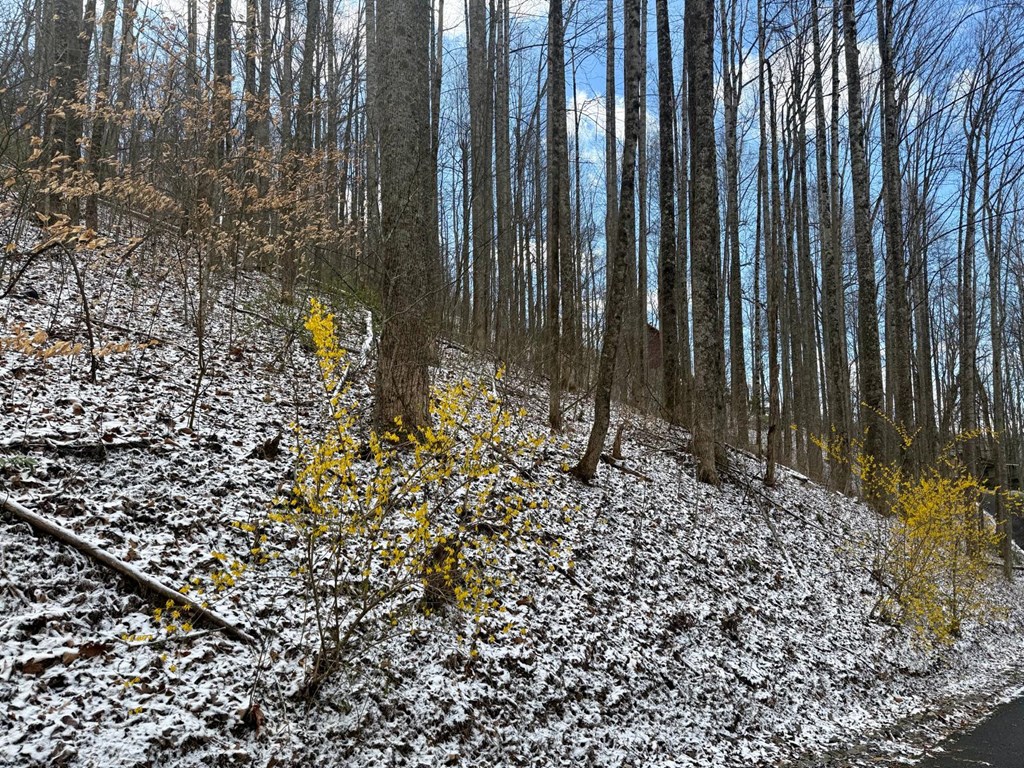 Land in Balsam 5