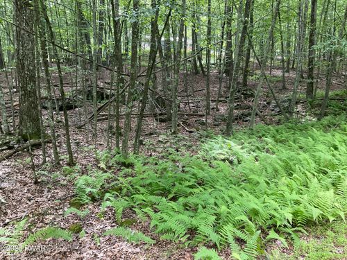 Lot 92 Stone Dr, Hawley, PA, 18428-7502 | Card Image