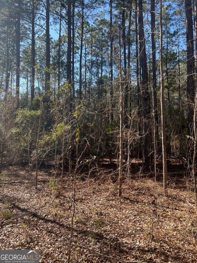 2734 Empire Chester Hwy, Home with 0 bedrooms, 0 bathrooms and null parking in cochran GA | Image 7