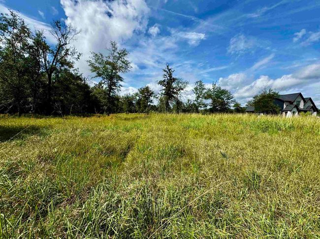 8982 Fm 2246 Rd, Home with 0 bedrooms, 0 bathrooms and null parking in Buna TX | Image 5