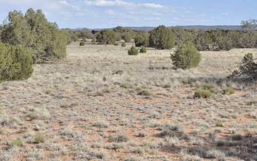 176 County Road N5549, Concho, AZ, 85924 | Card Image
