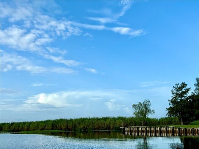 Canal off Bayou Lacombe | Image 4