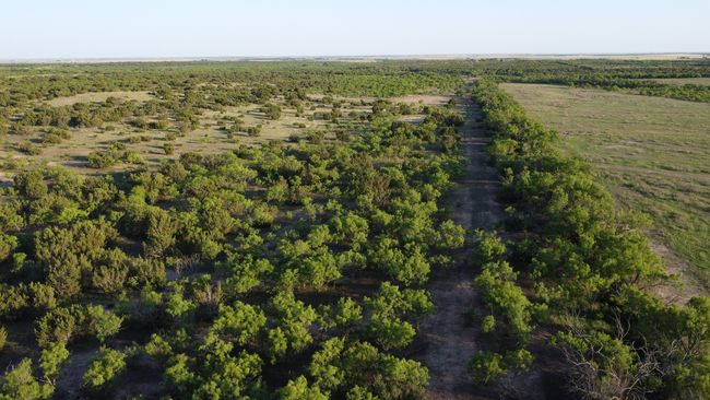 3609 Fm 1086, Home with 0 bedrooms, 0 bathrooms and null parking in Ovalo TX | Image 28