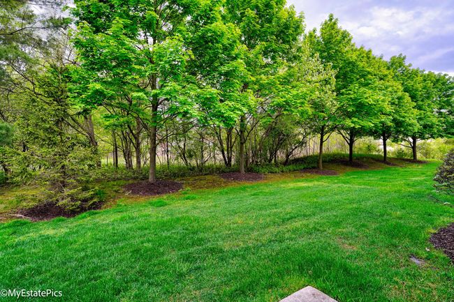 43762 Cherry Grove Ct Canton-7 | Image 6