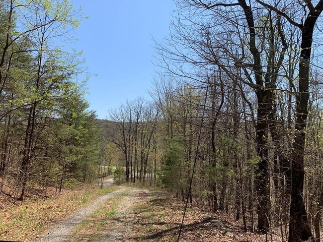 91 - 43 Old Burnt Mountain Rd, Home with 0 bedrooms, 0 bathrooms and null parking in Ellijay GA | Image 13