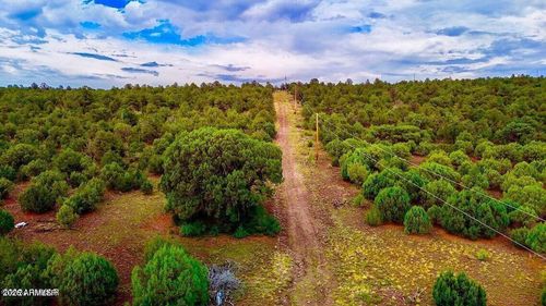 --TBD Co Rd N3218 37 Acres --, Vernon, AZ, 85940 | Card Image