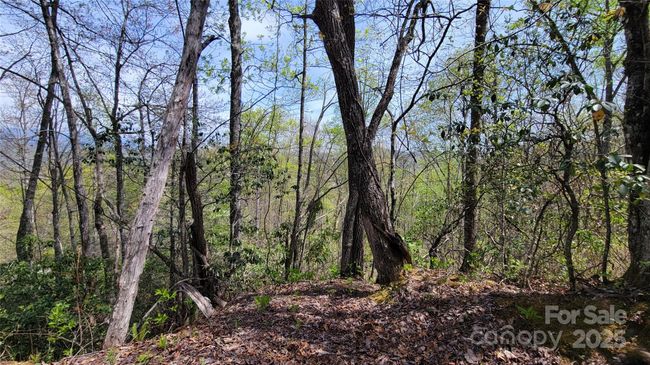 27 - 27 Lacy Fern Rdg, Home with 0 bedrooms, 0 bathrooms and null parking in Sylva NC | Image 22