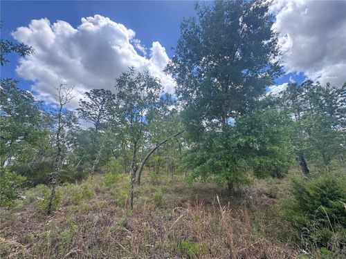 TBD Ne 15th Ln, Williston, FL, 32696 | Card Image