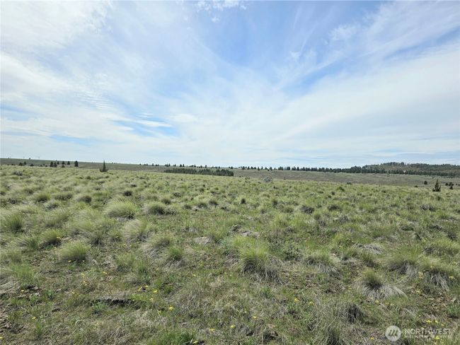 226 Duree Rd, Home with 0 bedrooms, 0 bathrooms and null parking in Bickleton WA | Image 10
