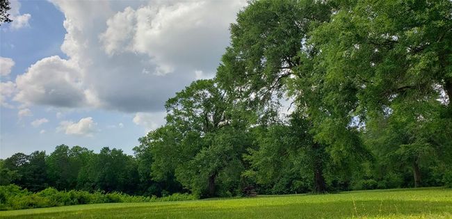 7964 State Highway 146 S, House other with 2 bedrooms, 1 bathrooms and 6 parking in Livingston TX | Image 15