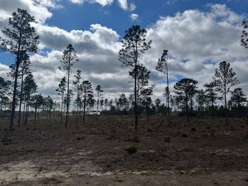 Lot C Se State Road 121, MORRISTON, FL, 32668 | Card Image