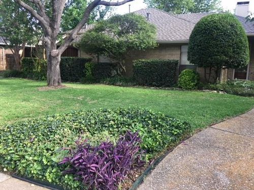3808 Big Horn Trail, Plano, TX, 75075 | Card Image