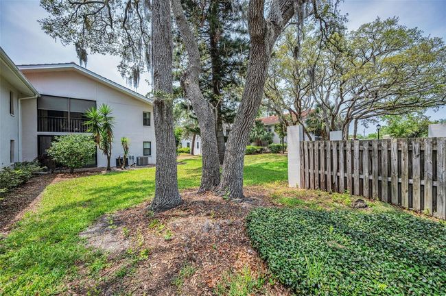 APT-200J - 300 S Florida Ave, Condo with 2 bedrooms, 2 bathrooms and null parking in TARPON SPRINGS FL | Image 42