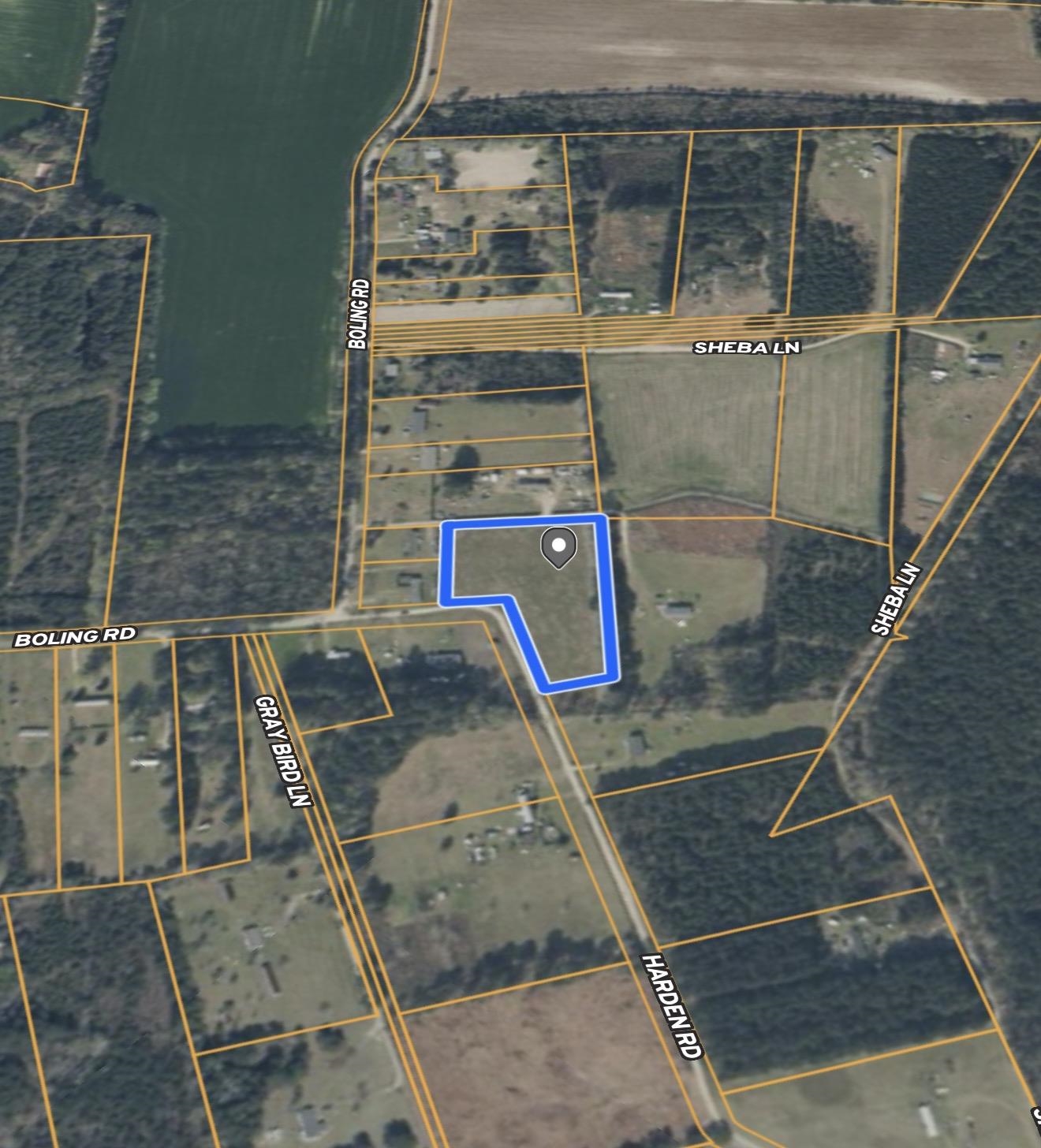 Land in Pamplico 3