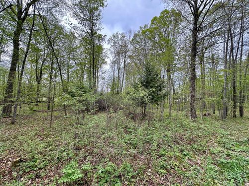 Lot 61 Chip N Dale Dr, Pickerel, WI, 54465 | Card Image