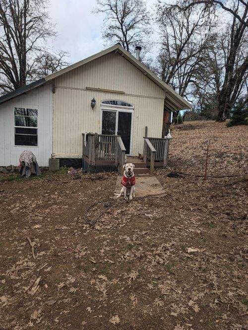 000 Rattlesnake Ridge Rd, Bridgeville, CA, 95526 | Card Image