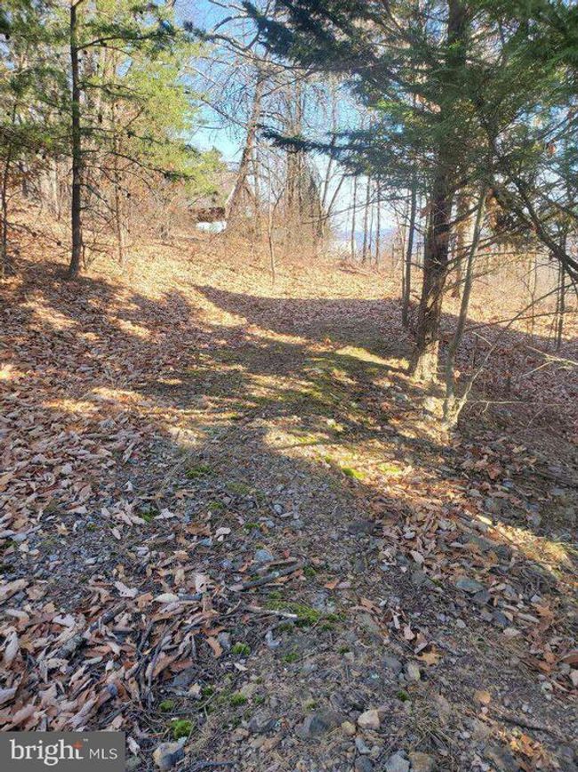 1527 Highland Springs Rd, House other with 2 bedrooms, 0 bathrooms and null parking in OLD FIELDS WV | Image 35